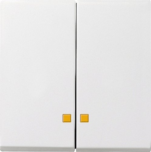 Лицевая панель Gira System55 для 2-кл. выключателя с подсветкой белый глянец фото Лицевая панель Gira System55 для 2-кл. выключателя с подсветкой белый глянец картинка